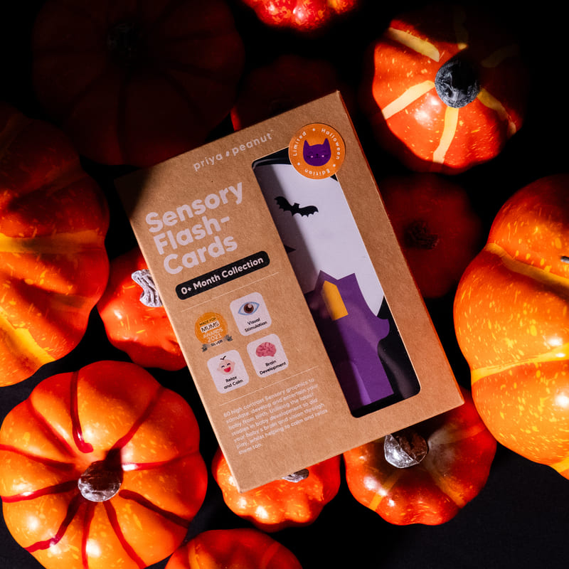 Halloween Sensory Flash Cards (0+ Month)