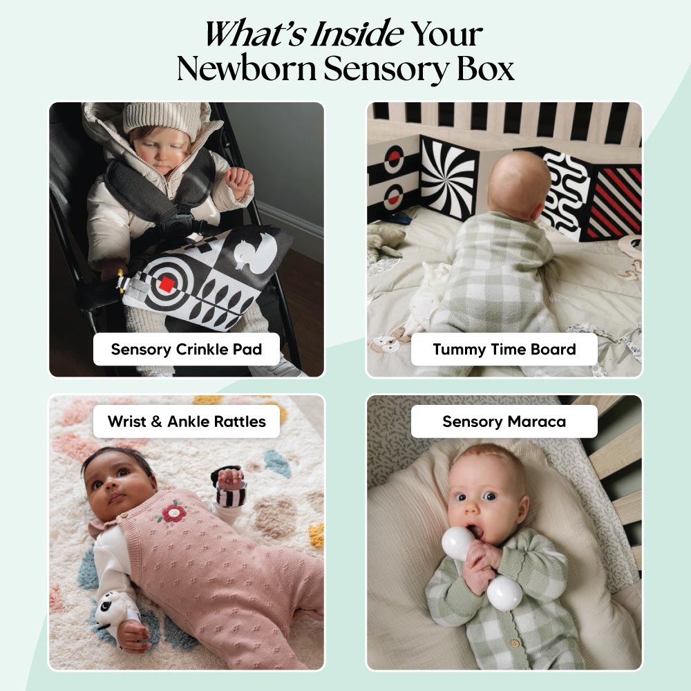 The Newborn Sensory Box (0-6+ Months)